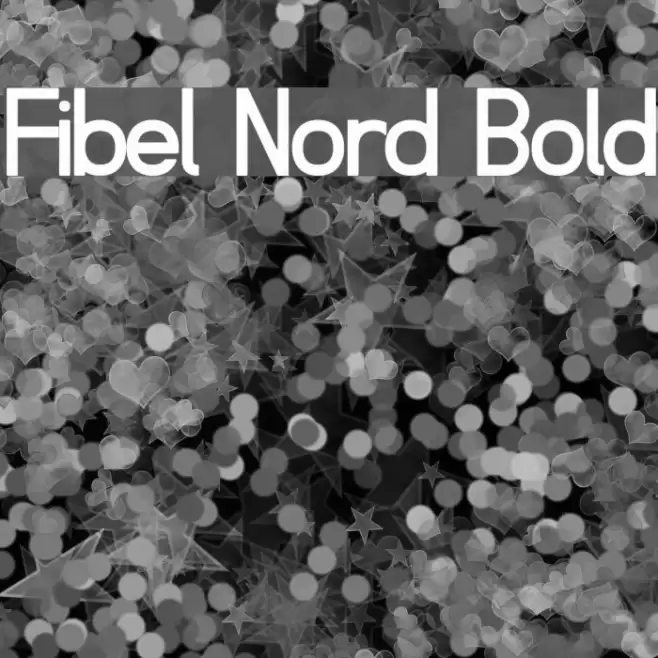 Fibel Nord Bold Font examples