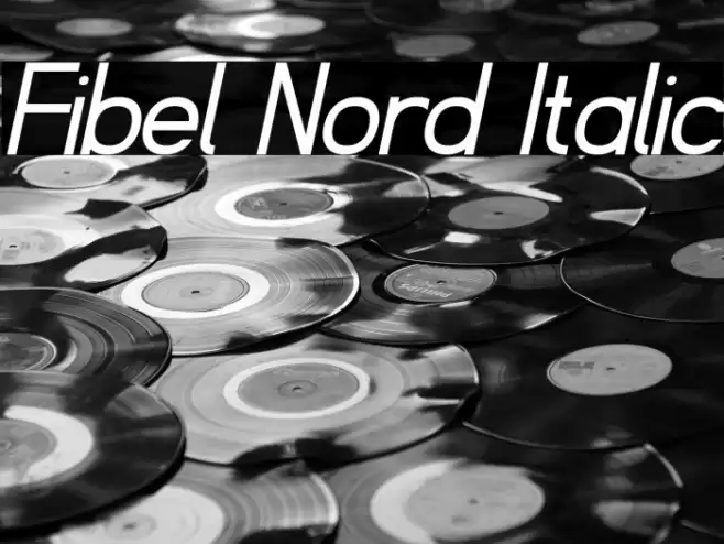 Fibel Nord Italic Font examples
