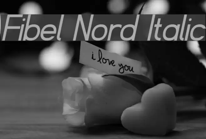 Fibel Nord Italic Font examples