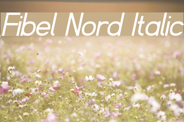 Fibel Nord Italic Font examples