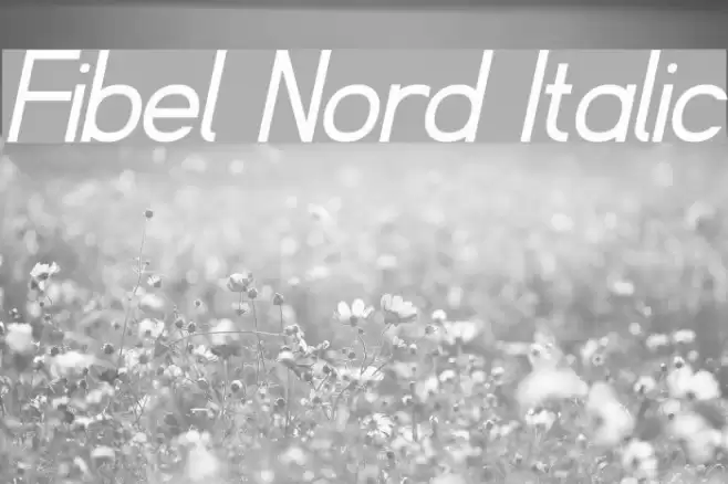 Fibel Nord Italic Font examples