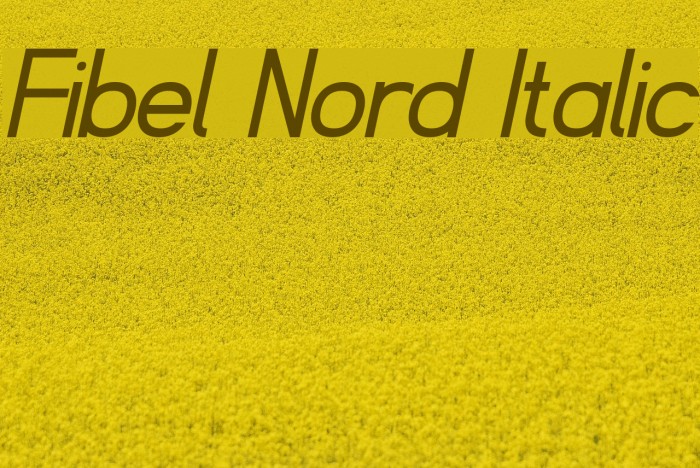 Fibel Nord Italic Font examples