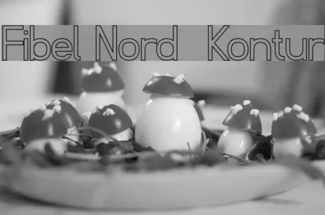 Fibel Nord  Kontur  examples