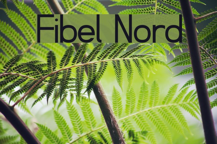 Fibel Nord Fonte examples