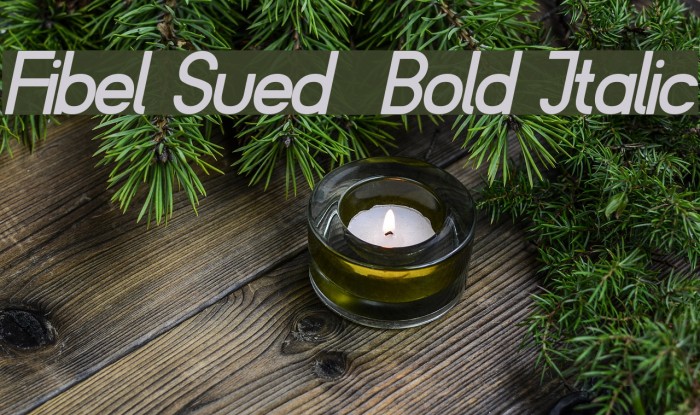 Fibel Sued Bold Italic Font examples