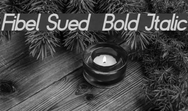 Fibel Sued  Bold Italic Font examples