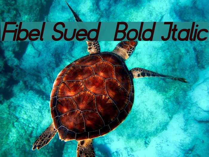 Fibel Sued Bold Italic Font examples