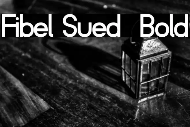 Fibel Sued  Bold Font examples