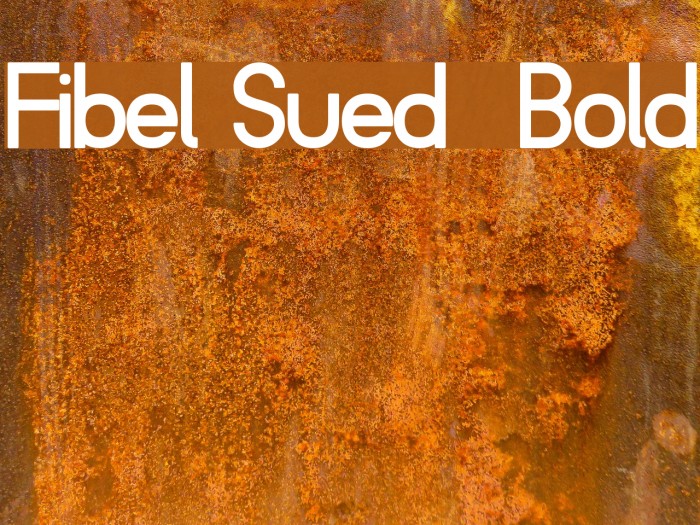Fibel Sued Bold Font examples