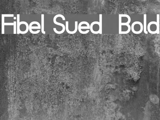 Fibel Sued  Bold Font examples