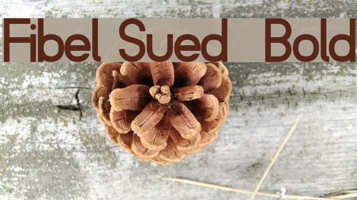 Fibel Sued Bold Font examples