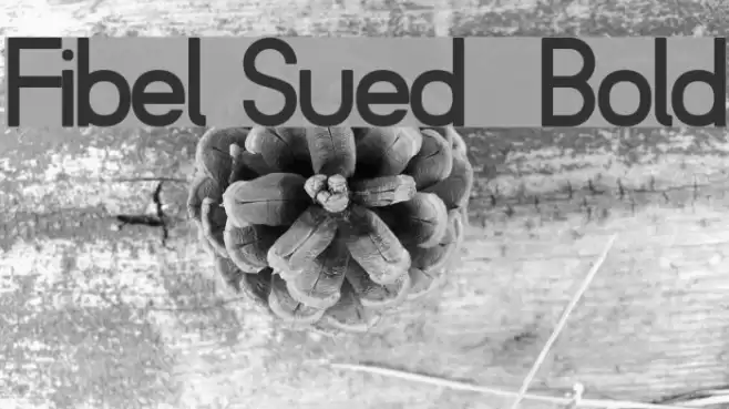 Fibel Sued  Bold Font examples