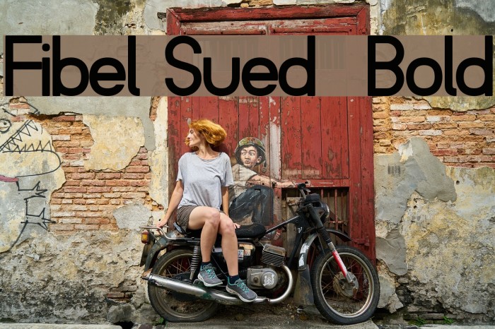 Fibel Sued Bold Font examples