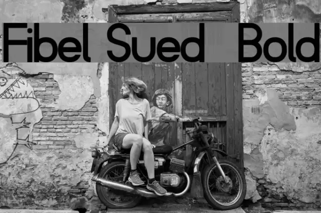 Fibel Sued  Bold Font examples