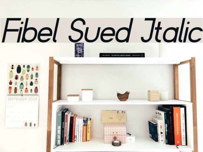 Fibel Sued Italic Font examples