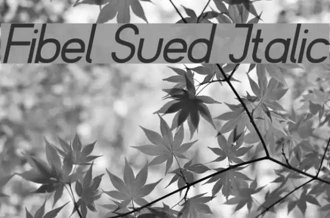 Fibel Sued Italic Font examples