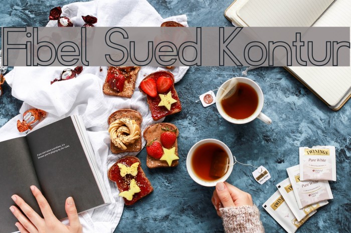Fibel Sued Kontur Fonte examples