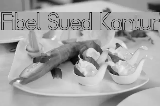 Fibel Sued Kontur Fonte examples