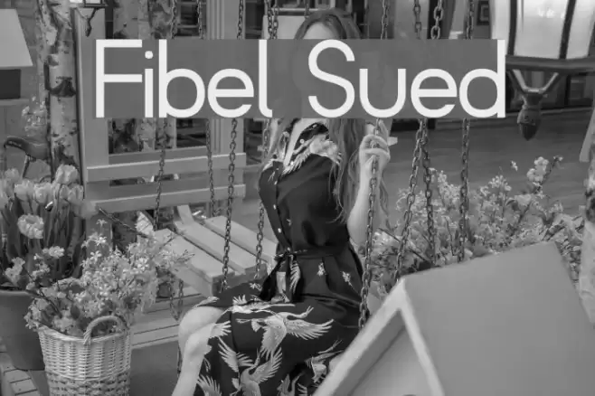 Fibel Sued Font examples