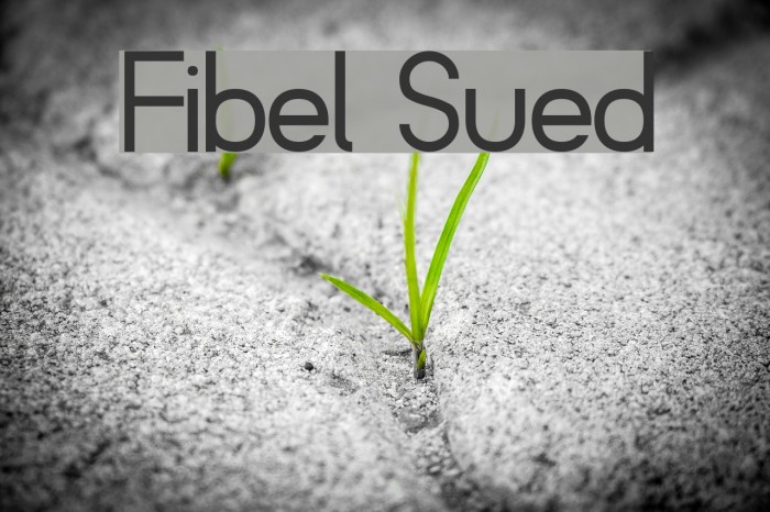 Fibel Sued Font examples