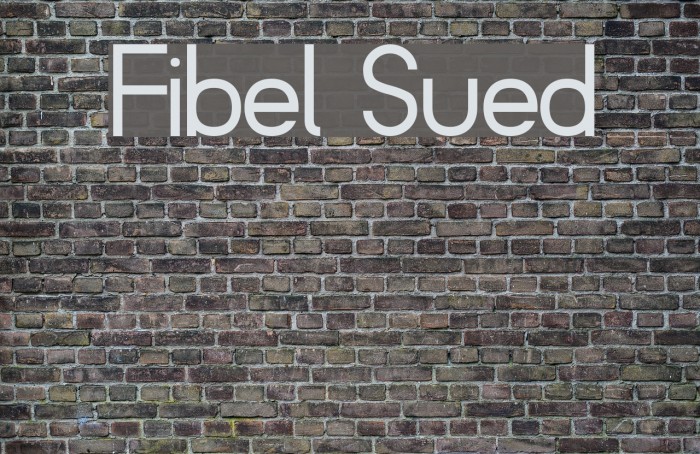 Fibel Sued Font examples