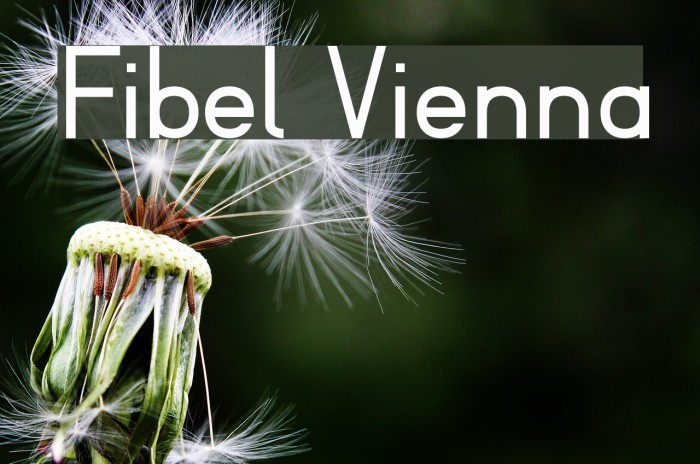 Fibel Vienna Font examples
