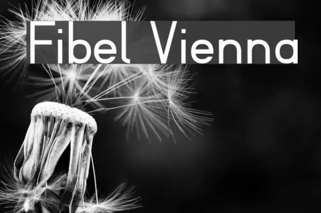 Fibel Vienna フォント examples