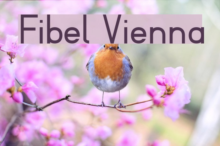 Fibel Vienna Font examples