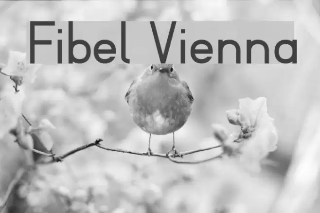 Fibel Vienna フォント examples
