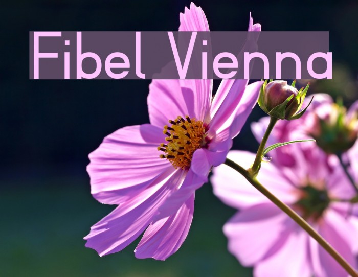Fibel Vienna Font examples