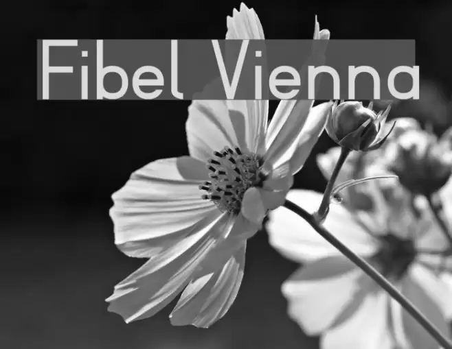 Fibel Vienna フォント examples