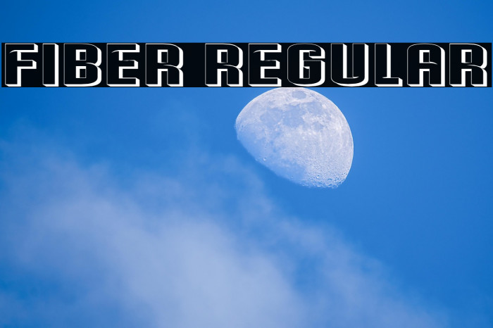 Fiber Regular Example 1