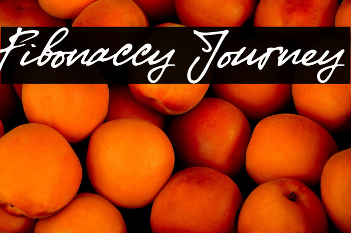 Fibonaccy Journey Example 1