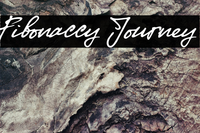 Fibonaccy Journey Example 3