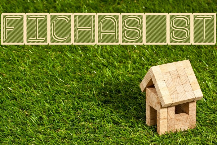 Fichas St Font examples