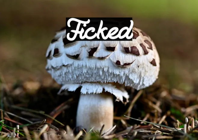 Ficked Example 3