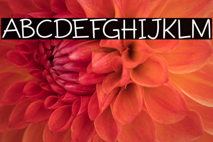 Fictional Friend DEMO Regular Example 2