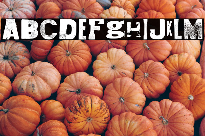 Fidalga Regular Example 3