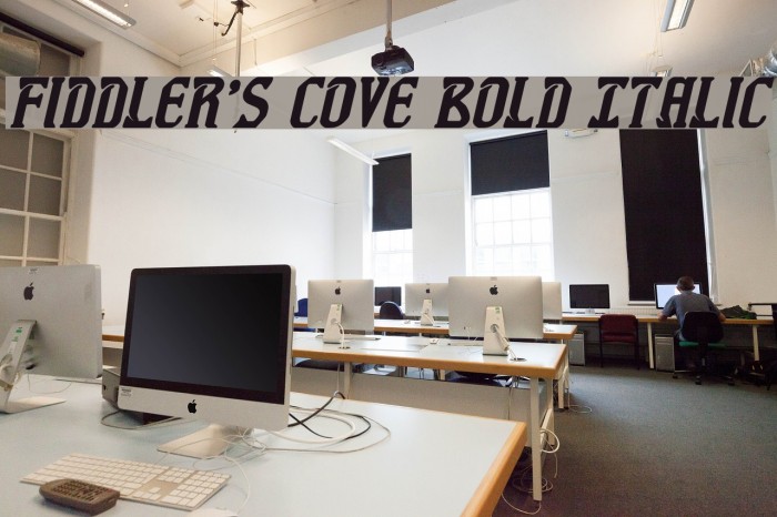 Fiddler's Cove Bold Italic Font examples