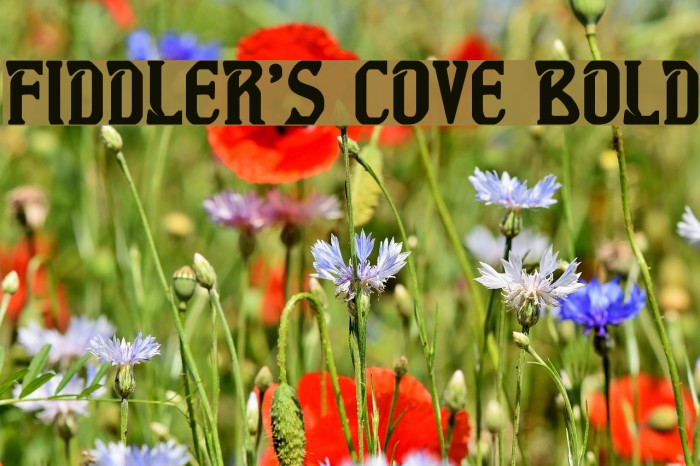 Fiddler's Cove Bold Example 2