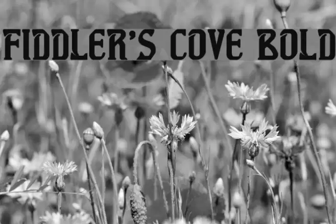 Fiddler's Cove Bold Font examples