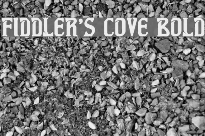 Fiddler's Cove Bold Font examples