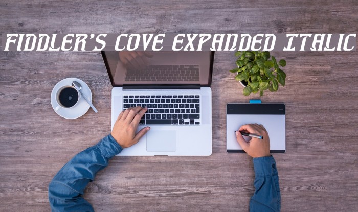 Fiddler's Cove Expanded Italic Font examples