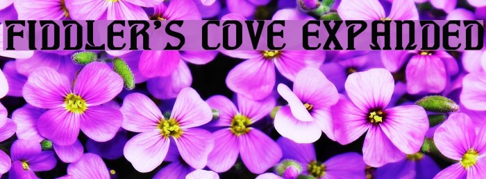 Fiddler's Cove Expanded Font examples