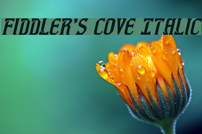 Fiddler's Cove Italic Font examples