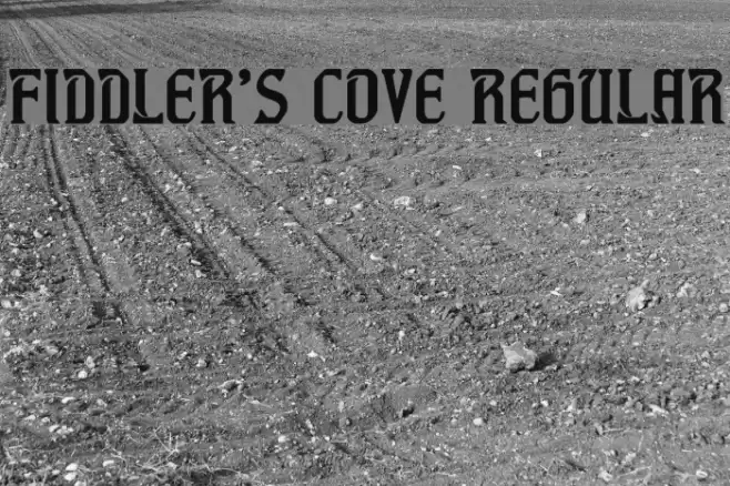 Fiddler's Cove Regular Font examples