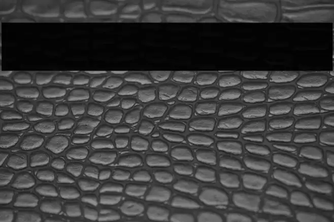 Fidelity Contrasts Single Line  Font examples