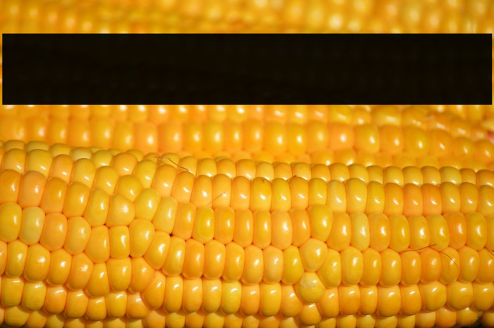 Fidelity Contrasts Single Line  Example 3