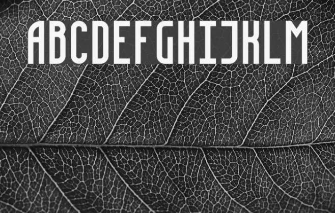 Fidelity  Normal Font examples