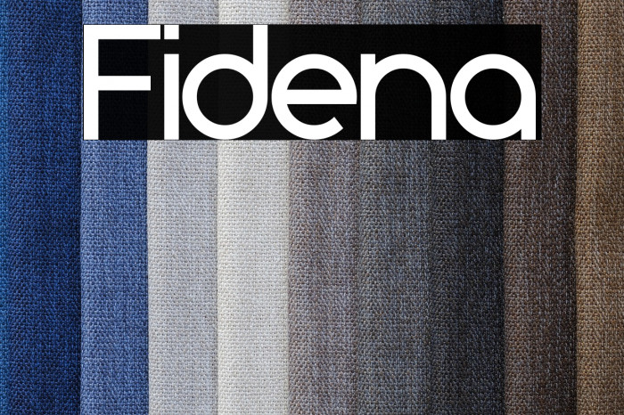 Fidena Example 1